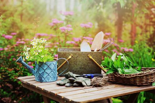 Create a country garden from scratch
