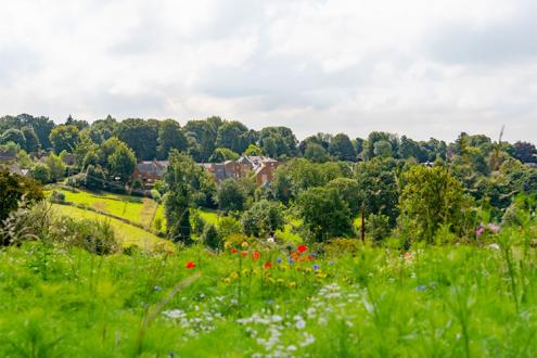 Luxurious Living in the Oxfordshire Countryside news article